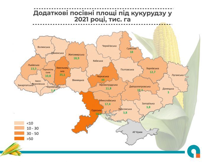 my-visual-copy_51510285 (2)