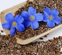 UCAB supports custom duty oil flax 