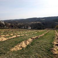 4355 Тарас Висоцький УКАБ