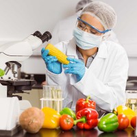 законопроект 0906 