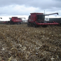 В Госземагентстве предложили отказаться от проектов по обоснованию севооборота