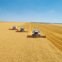 уборка урожая комбайн зерно