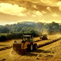 збір врожаю зернові культури соняшник укаб