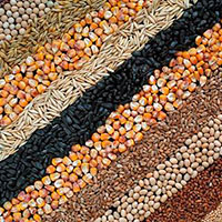 укаб украина экспорт зерно масличные