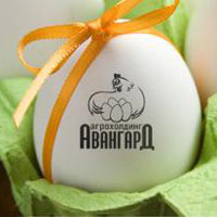 Авангард расширяет рынки сбыта яичной продукции