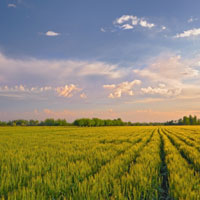Инициатива Швайки по ограничению земельного банка нецелесообразна