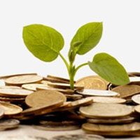 Рентабельность сельхозпроизводства в 2014 г. составит 20,6% – эксперт