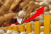 Названы наиболее рентабельные культуры