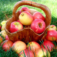 Сумщина наращивает производство плодово-ягодных культур