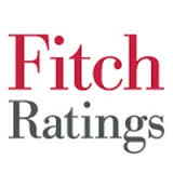 Fitch прекращает рейтинговать Мрию