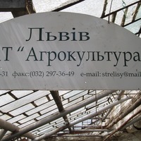 Agrokultura сформировала новый состав совета директоров
