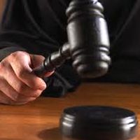 Предприятия «Агрейна» митингуют под Апелляционным судом  Харьковской области с животными и сельхозтехникой