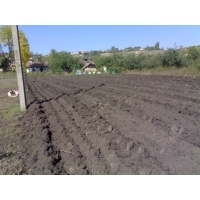 Оперативна інформація Мінагрополітики: хід польових робіт