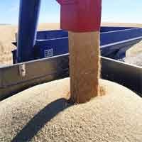 Кабмін готує низку зон вільної торгівлі, хоче подвоїти експорт за 5 років