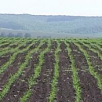 Оперативна інформація Мінагрополітики: про проведення осінньо-польових робіт