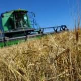 Будущее украинского АПК — за агрохолдингами — мнение