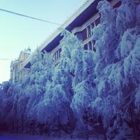 Найближчими днями аграріям варто підготуватися до погіршення погодних умов