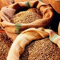 Ціни на зернові стабільні