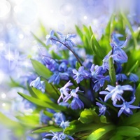 свято весни УКАБ