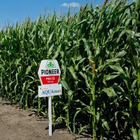 DuPont Pioneer Україна