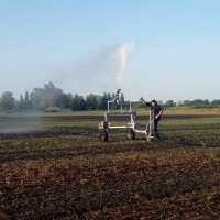 Міжнародні дні поля в Україні