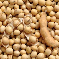 7403-2 соєві правки відміна експортного ПДВ