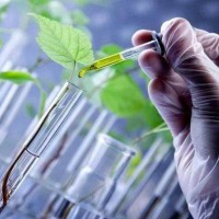 6606 інноваційні пестициди ЗЗР