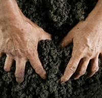 Протидія рейдерству 