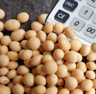 В Раді зареєстровано законопроект, що повинен вирішити проблему відшкодування ПДВ при експорті сої.