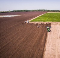 Як зміняться посівні площі під основними культурами в 2019-2020 році?