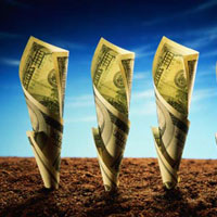 Аграрии привлекли на 3 млрд грн меньше кредитов