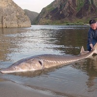 Europe approves €5.7 billion for Common Fisheries Policy