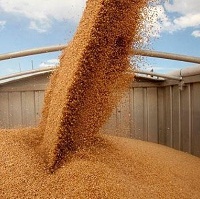 Запаслися під зав’язку