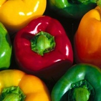 Чому болгарський перець так дорого коштує?