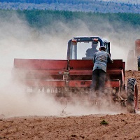 Як посіють та чи пожнуть: осіння посівна перетворилась на випробування