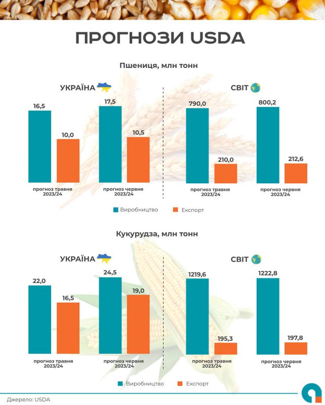 352351073_628628225963119_6389804604153734540_n
