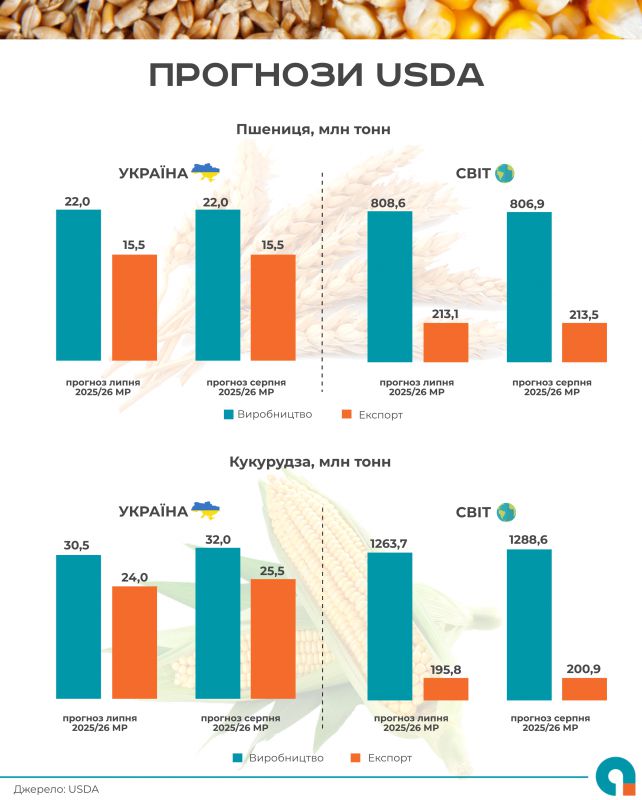 piktochart_1755085259