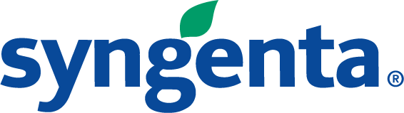 Сингента Сингента